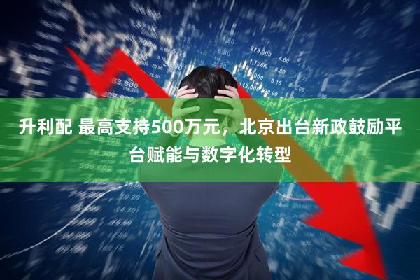 升利配 最高支持500万元，北京出台新政鼓励平台赋能与数字化转型