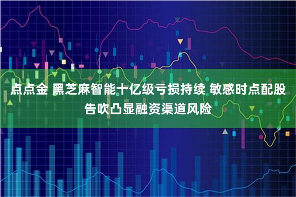 点点金 黑芝麻智能十亿级亏损持续 敏感时点配股告吹凸显融资渠道风险
